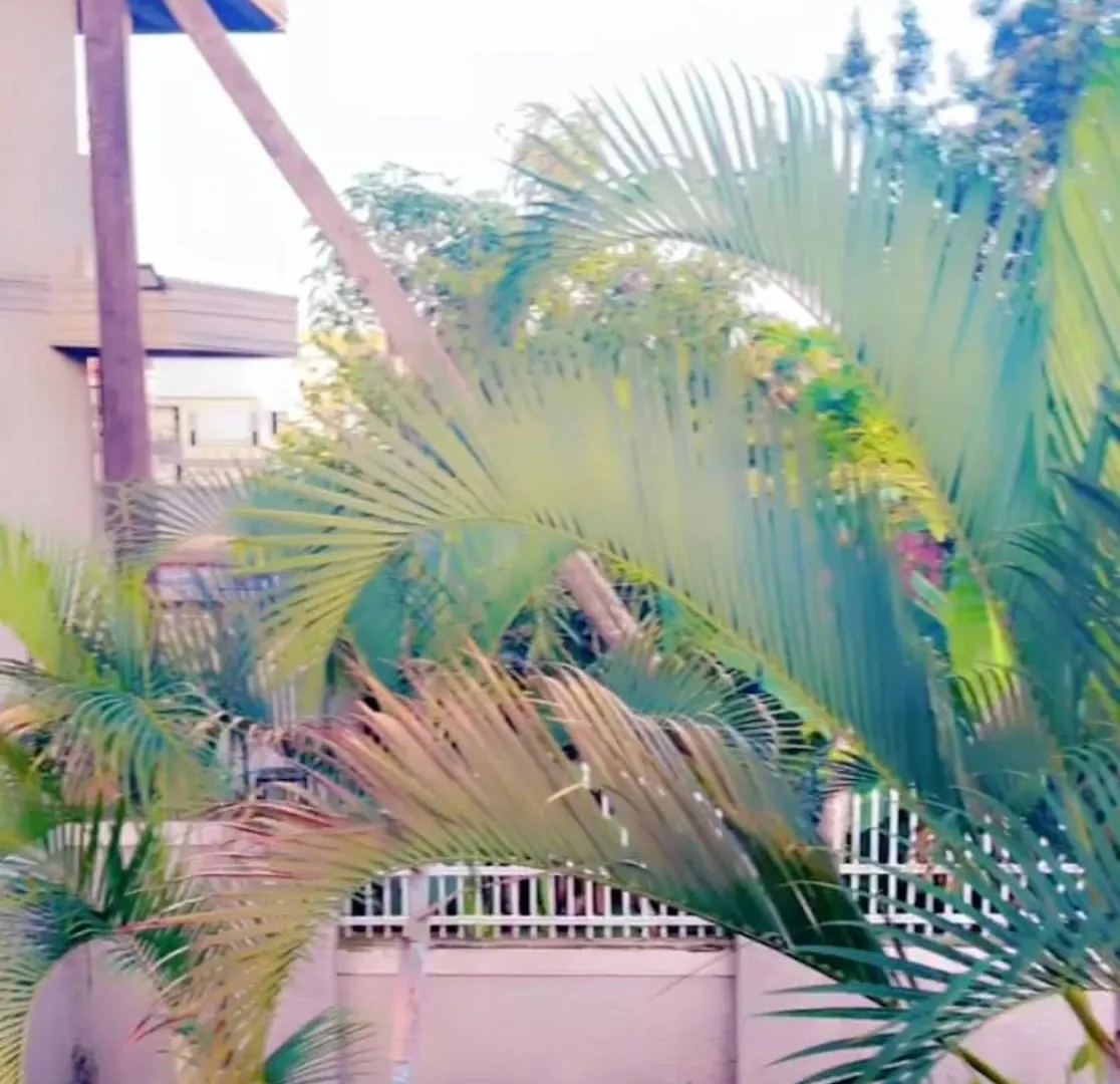 Ked Safaris Home Ug Kampala